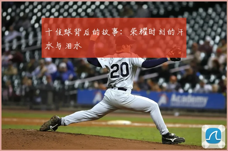 十佳球背后的故事:荣耀时刻的汗水与泪水