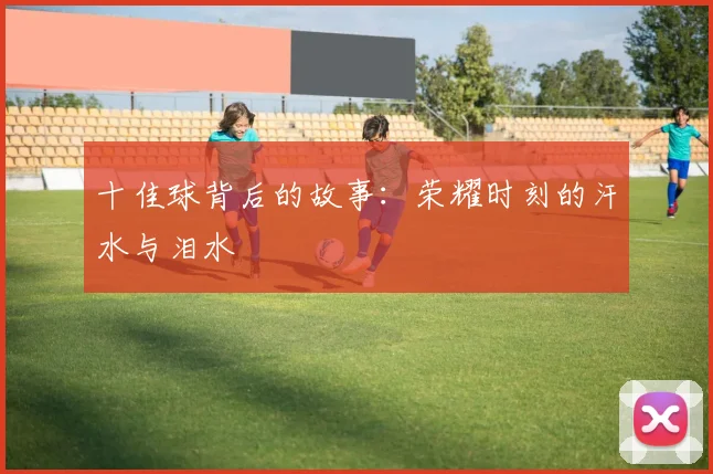 十佳球背后的故事:荣耀时刻的汗水与泪水